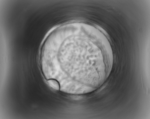 X0000084011103200703091922