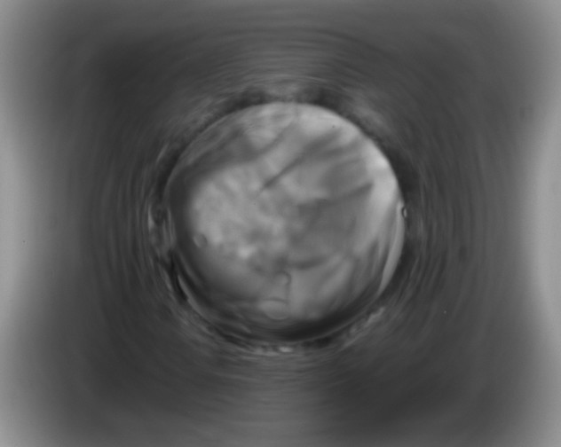 X0000084011106200703091921