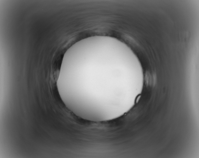 X0000084011107200703091921