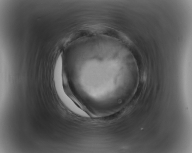 X0000084011108200703091921