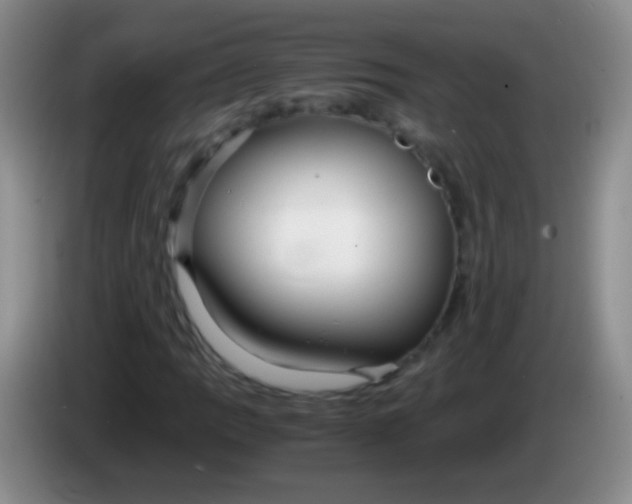 X0000084011109200703091921