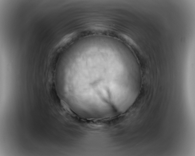 X0000084011110200703091921