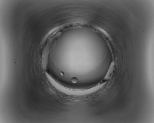 X0000084011112200703091921