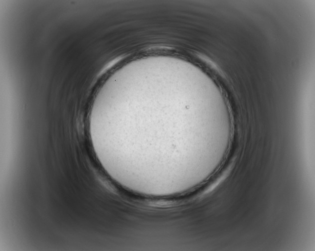 X0000084011113200703091921