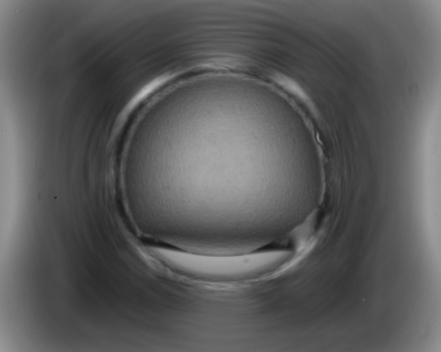 X0000084011114200703091921