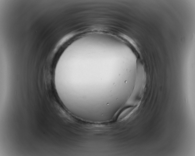 X0000084011115200703091921