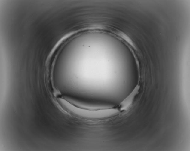 X0000084011116200703091921