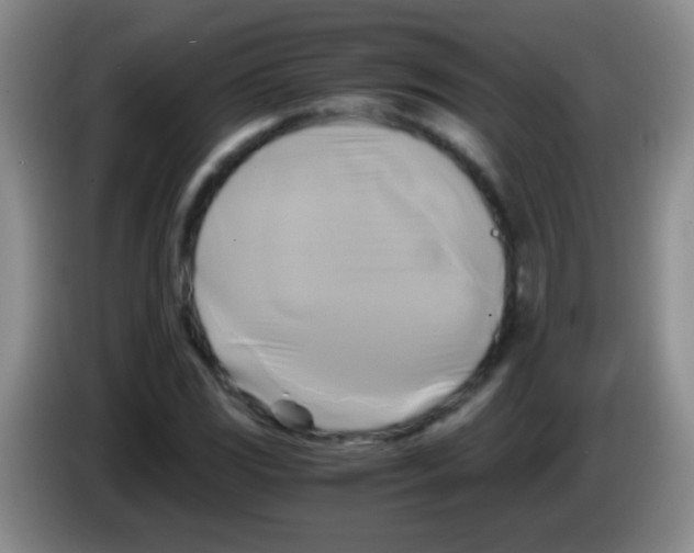 X0000084011117200703091921