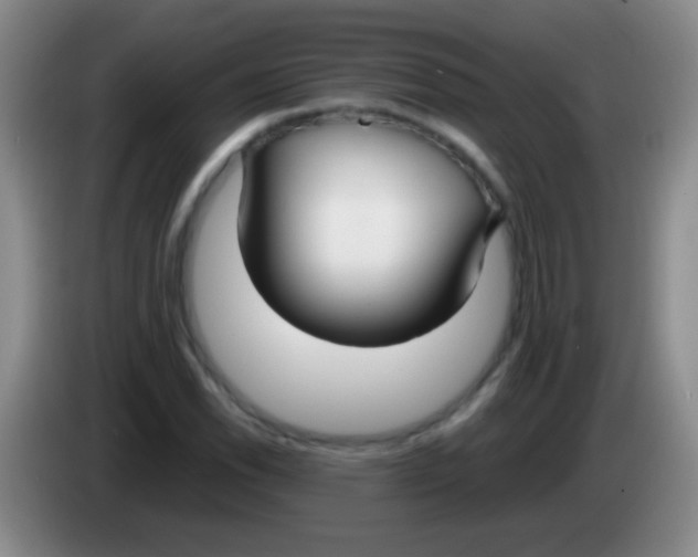 X0000084011118200703091921