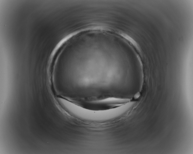 X0000084011120200703091921