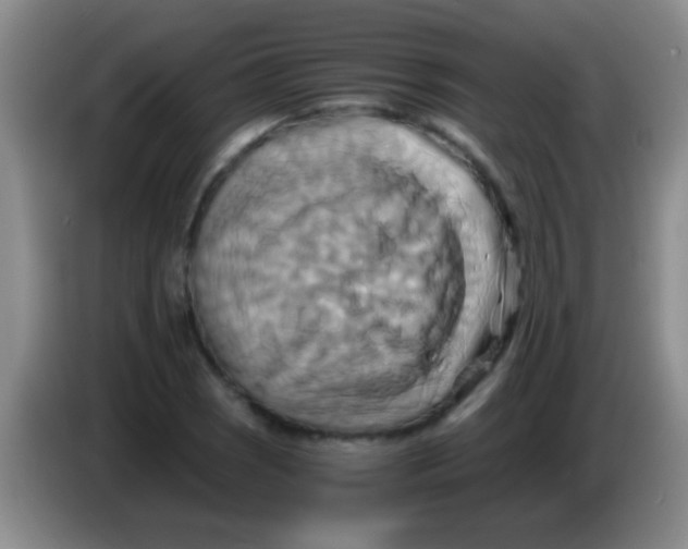 X0000084011121200703091921