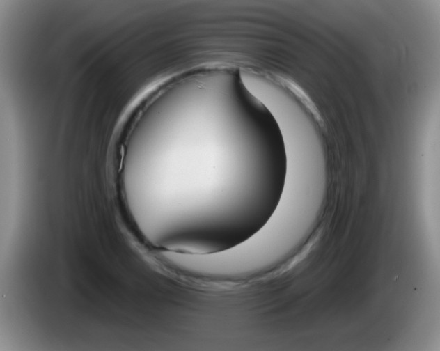 X0000084011122200703091921