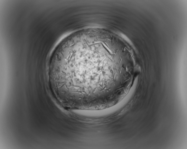 X0000084011124200703091921