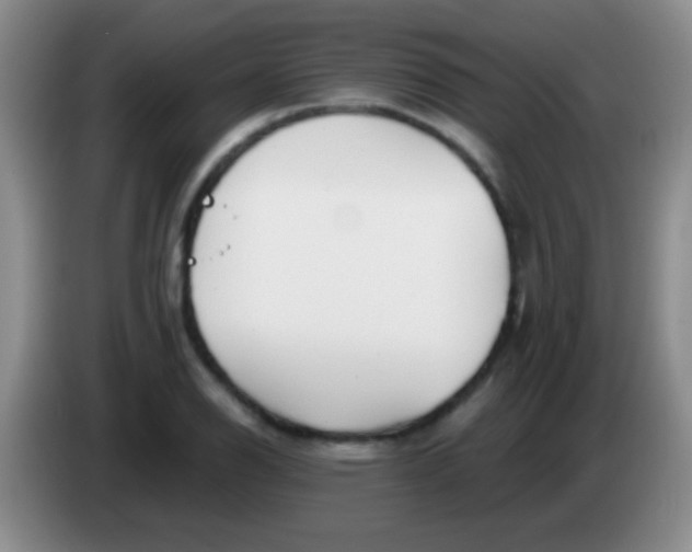 X0000084011126200703091921