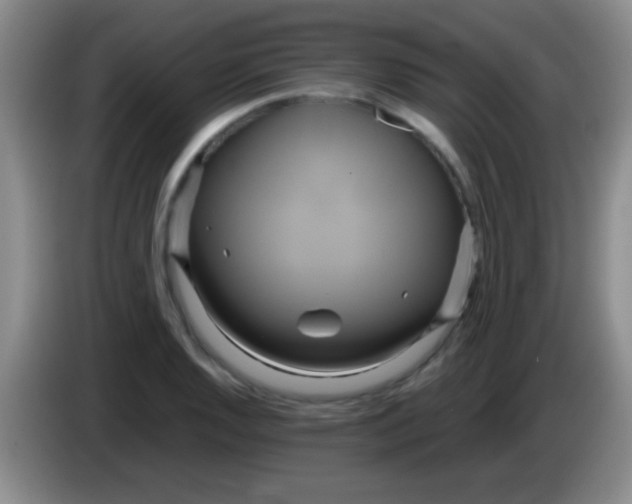 X0000084011128200703091921