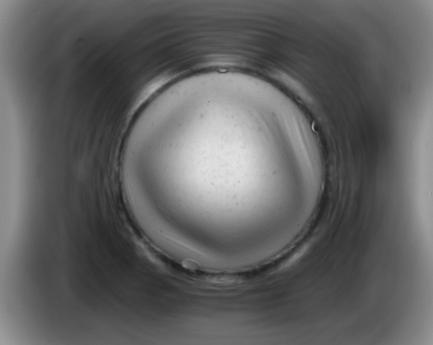 X0000084011129200703091921