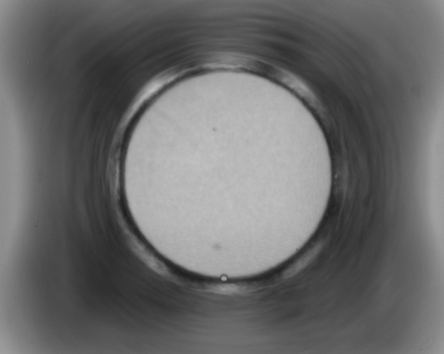 X0000084011130200703091921