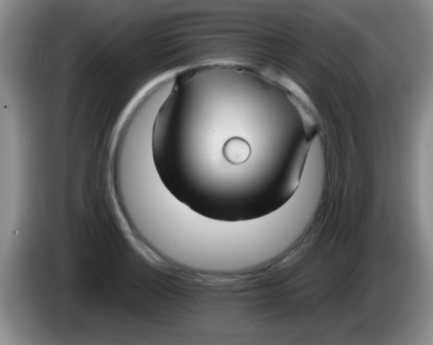 X0000084011132200703091921