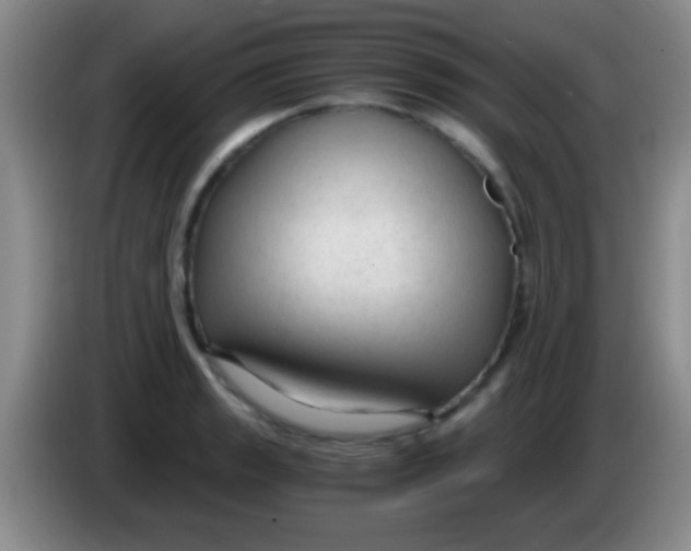 X0000084011133200703091921