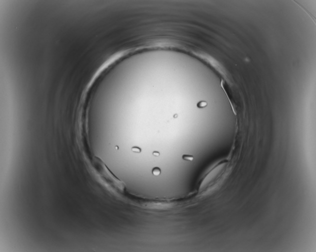 X0000084011134200703091921