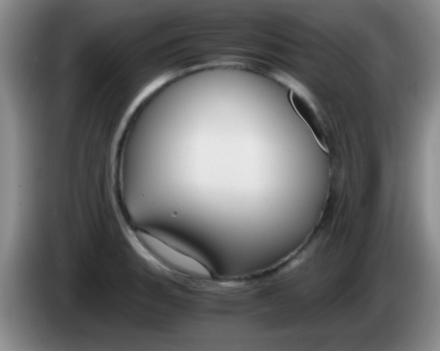 X0000084011135200703091921