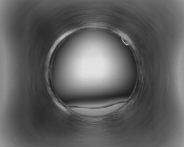 X0000084011136200703091921