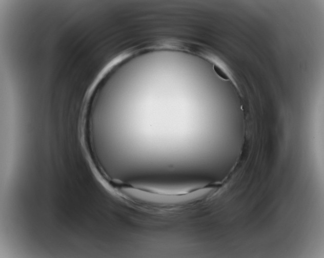 X0000084011139200703091921