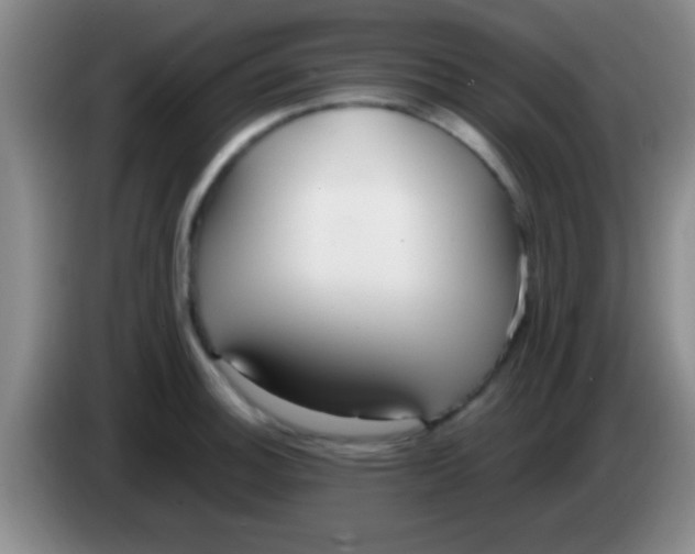 X0000084011140200703091921