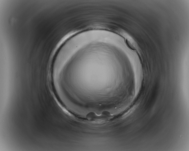 X0000084011141200703091921