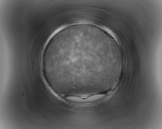 X0000084011142200703091921