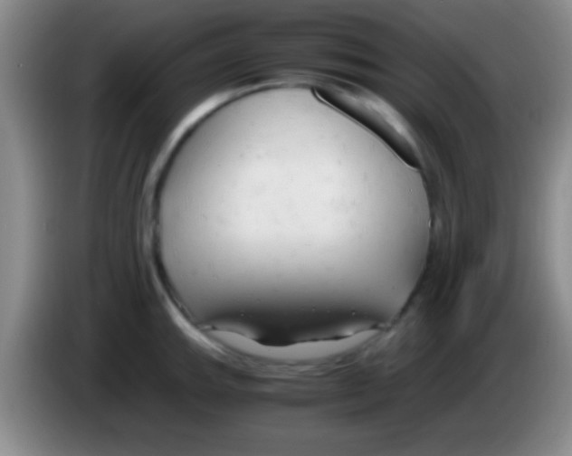 X0000084011143200703091921