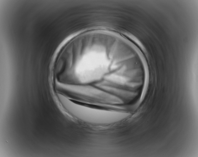 X0000084011144200703091921