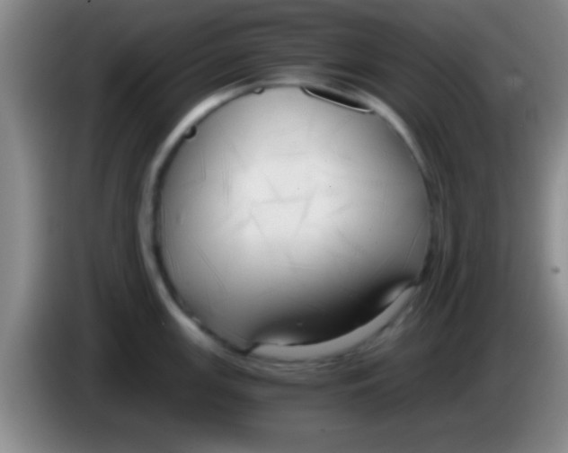 X0000084011147200703091921