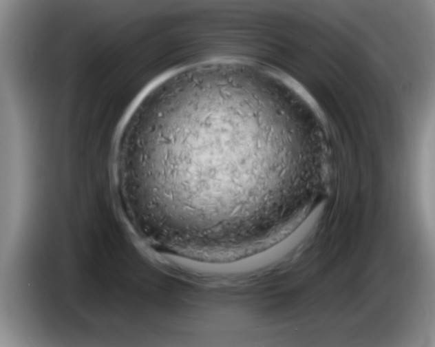 X0000084011148200703091921