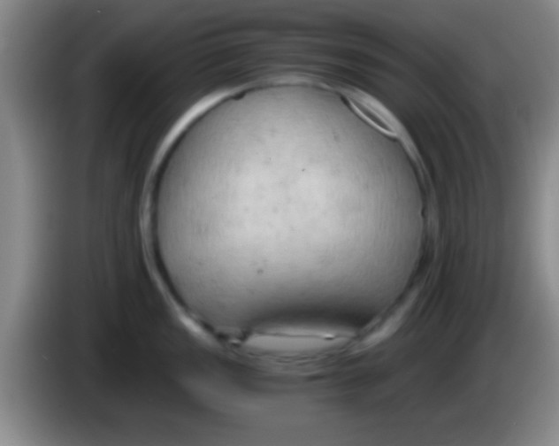 X0000084011149200703091921