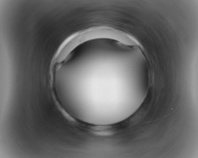 X0000084011151200703091922