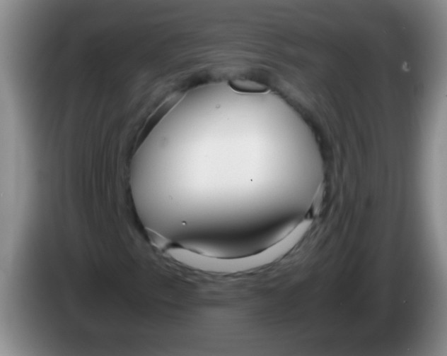 X0000084011153200703091921