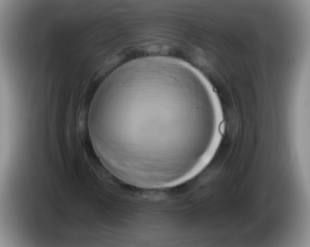 X0000084011154200703091921