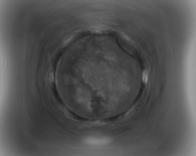 X0000084011155200703091921