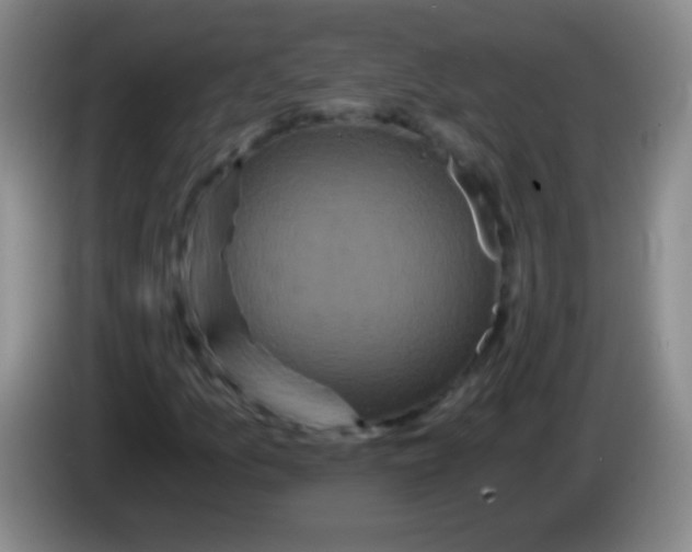 X0000084011157200703091921