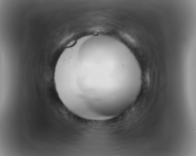 X0000084011158200703091921