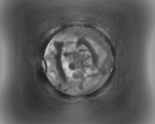 X0000084011159200703091921