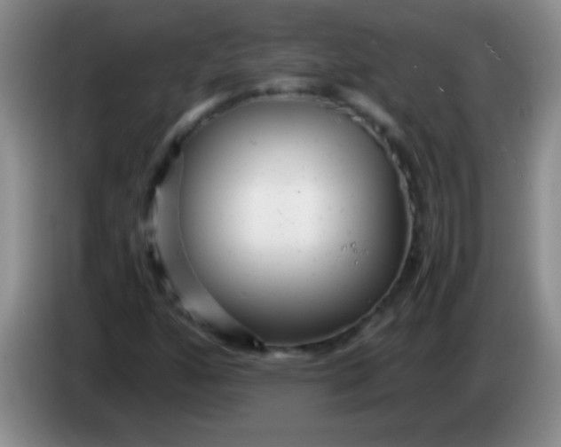 X0000084011160200703091921