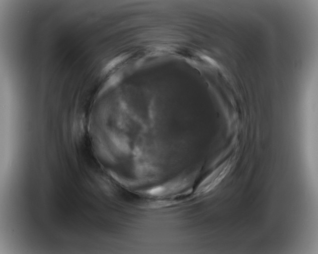 X0000084011161200703091921