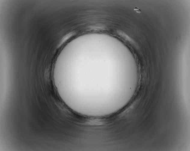 X0000084011162200703091921