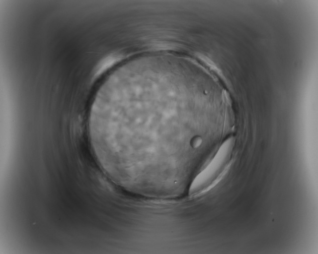 X0000084011163200703091921