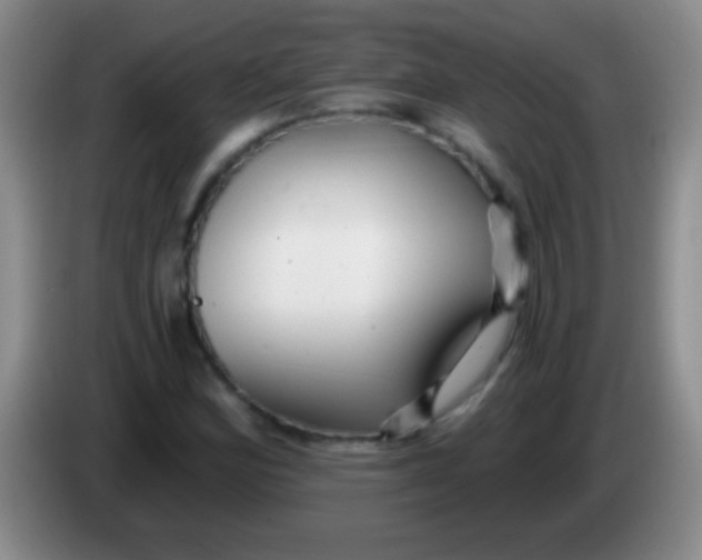 X0000084011164200703091921