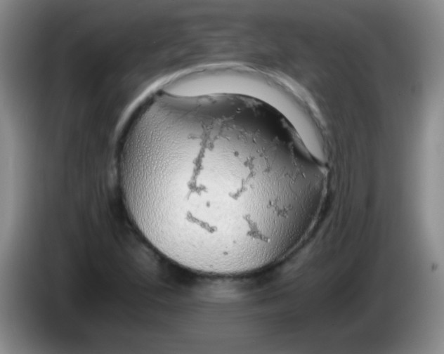 X0000084011167200703091921