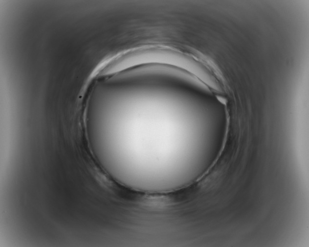 X0000084011168200703091921