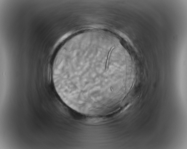 X0000084011171200703091921